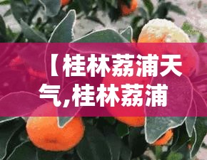 【桂林荔浦天气,桂林荔浦天气预报】 【桂林荔浦天气,桂林荔浦天气预报】