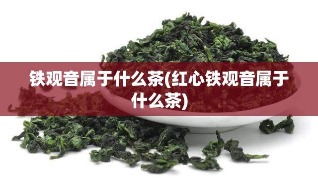 铁观音属于什么茶(红心铁观音属于什么茶) 铁观音属于什么茶(红心铁观音属于什么茶)