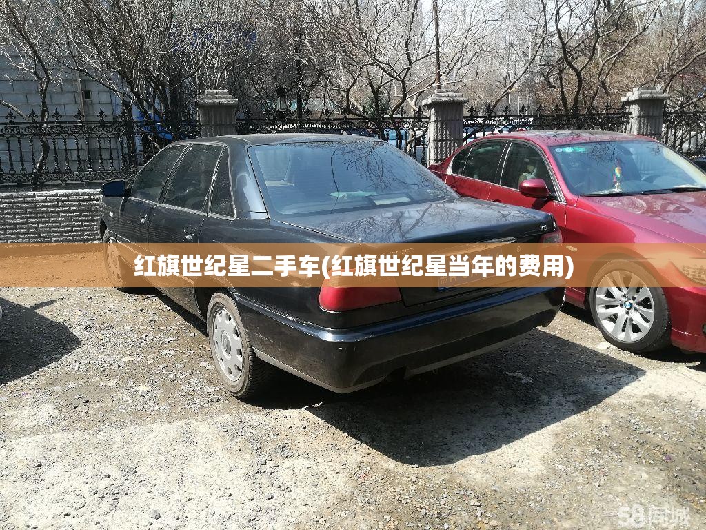 红旗世纪星二手车(红旗世纪星当年的费用)