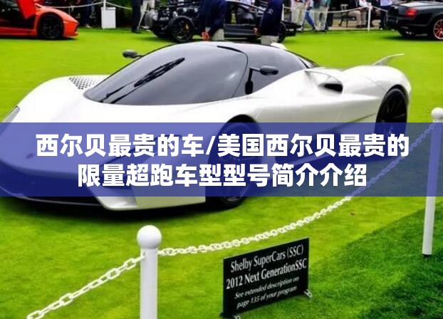 西尔贝最贵的车/美国西尔贝最贵的限量超跑车型型号简介介绍