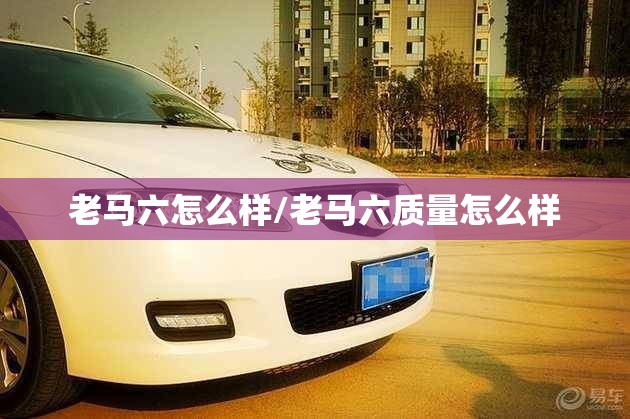 老马六怎么样/老马六质量怎么样 老马六怎么样/老马六质量怎么样