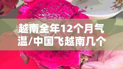 越南全年12个月气温/中国飞越南几个小时