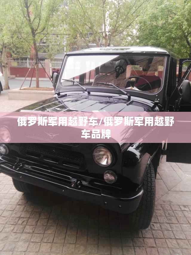 俄罗斯军用越野车/俄罗斯军用越野车品牌 俄罗斯军用越野车/俄罗斯军用越野车品牌