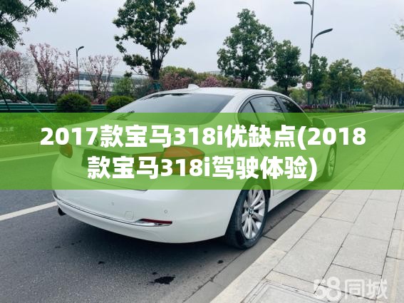 2017款宝马318i优缺点(2018款宝马318i驾驶体验)