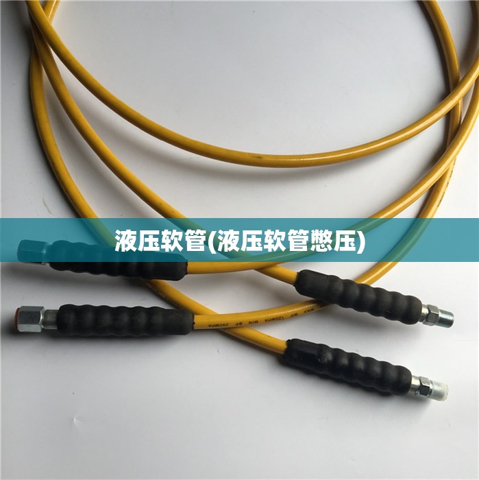 液压软管(液压软管憋压)