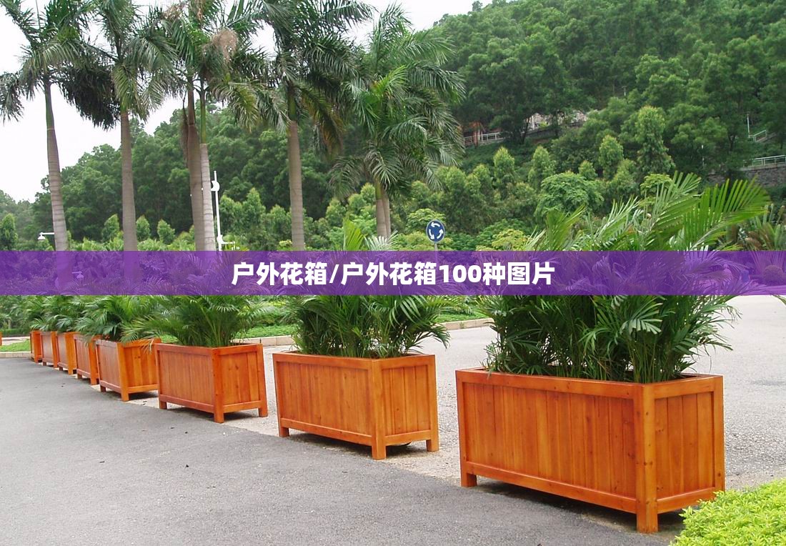 户外花箱/户外花箱100种图片 户外花箱/户外花箱100种图片