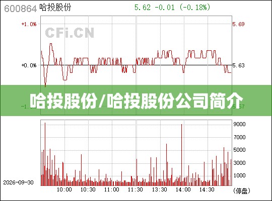 哈投股份/哈投股份公司简介 哈投股份/哈投股份公司简介