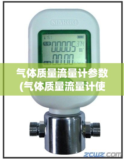 气体质量流量计参数(气体质量流量计使用方法) 气体质量流量计参数(气体质量流量计使用方法)