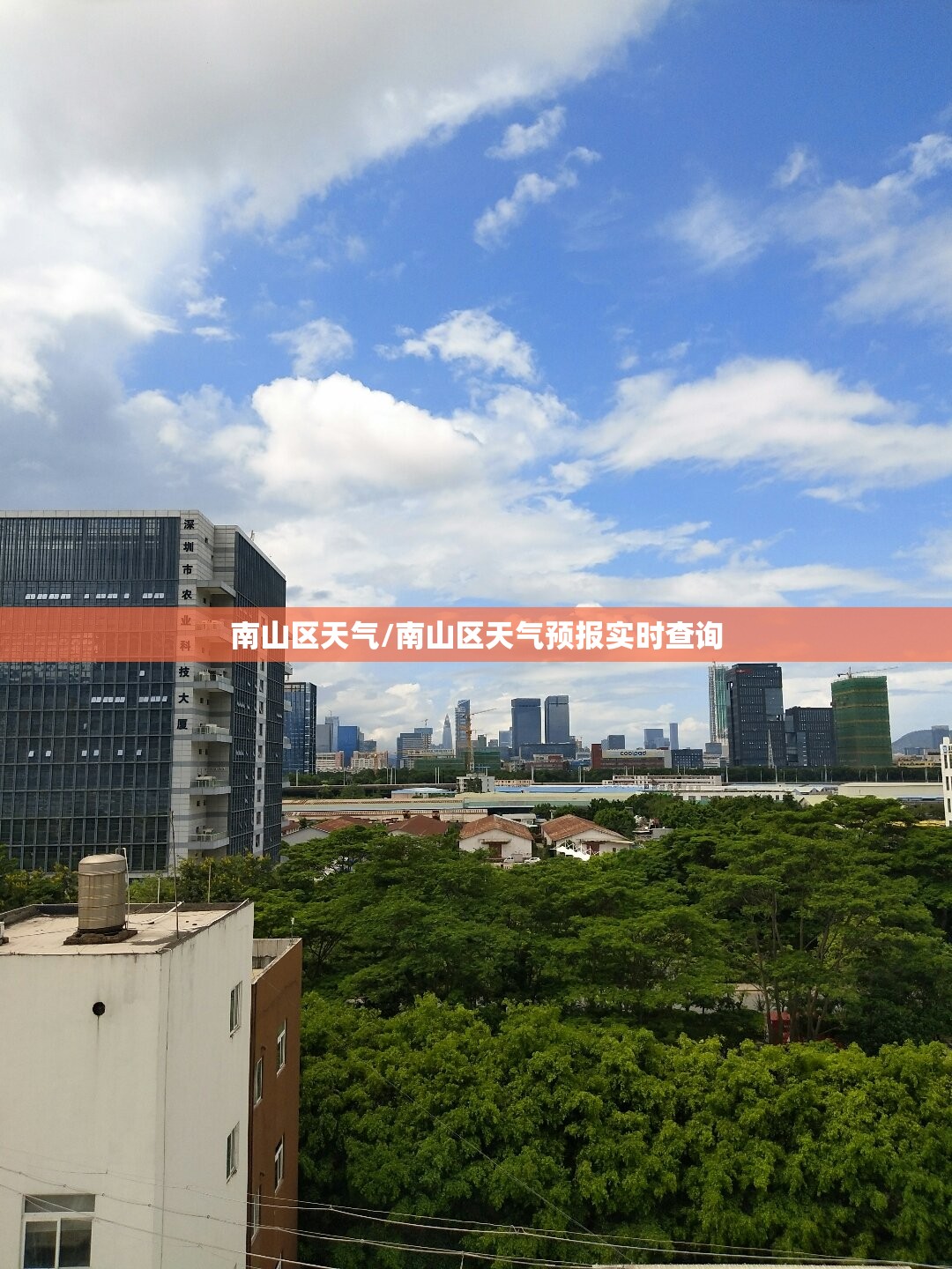 南山区天气/南山区天气预报实时查询 南山区天气/南山区天气预报实时查询