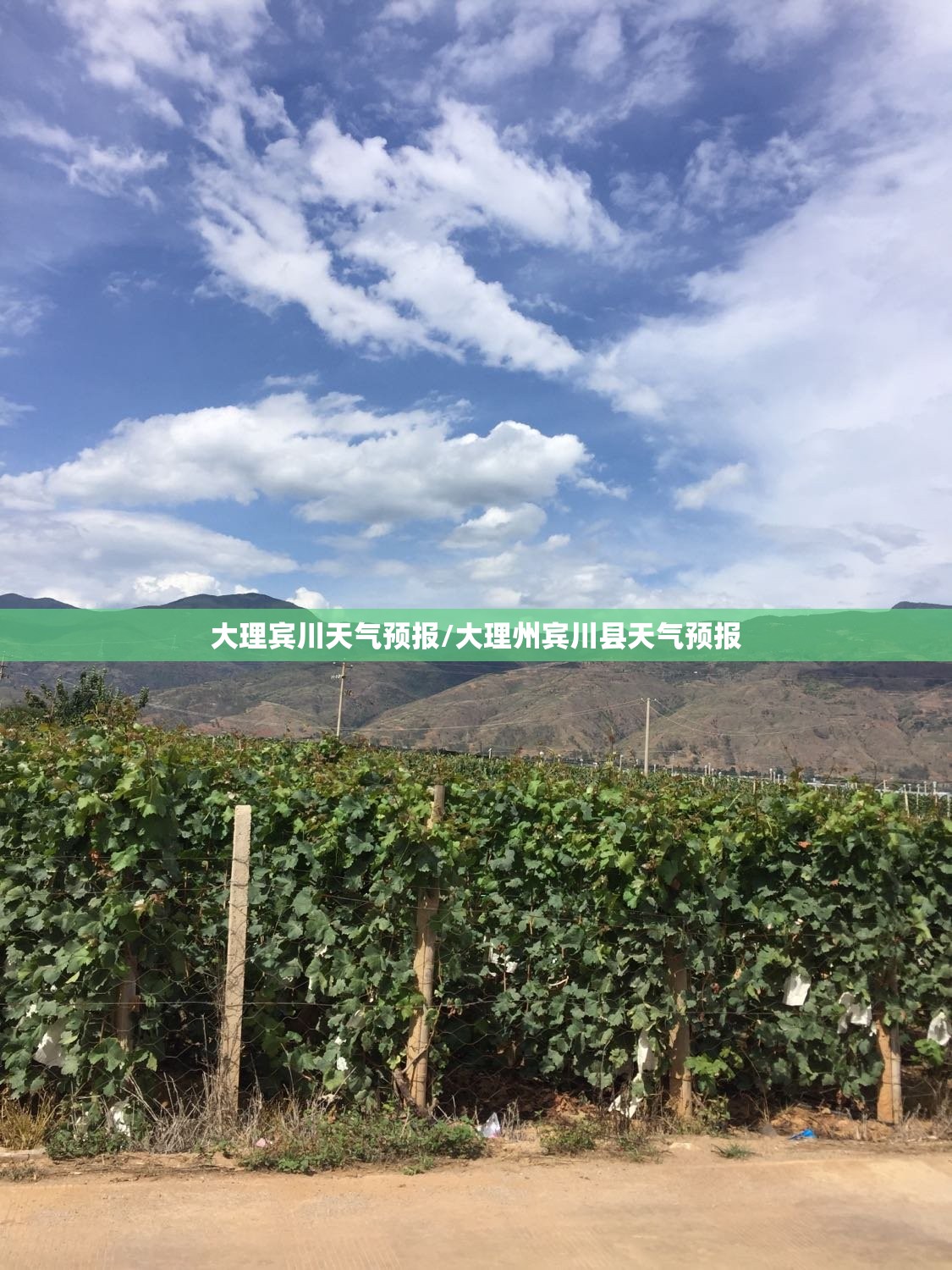 大理宾川天气预报/大理州宾川县天气预报 大理宾川天气预报/大理州宾川县天气预报
