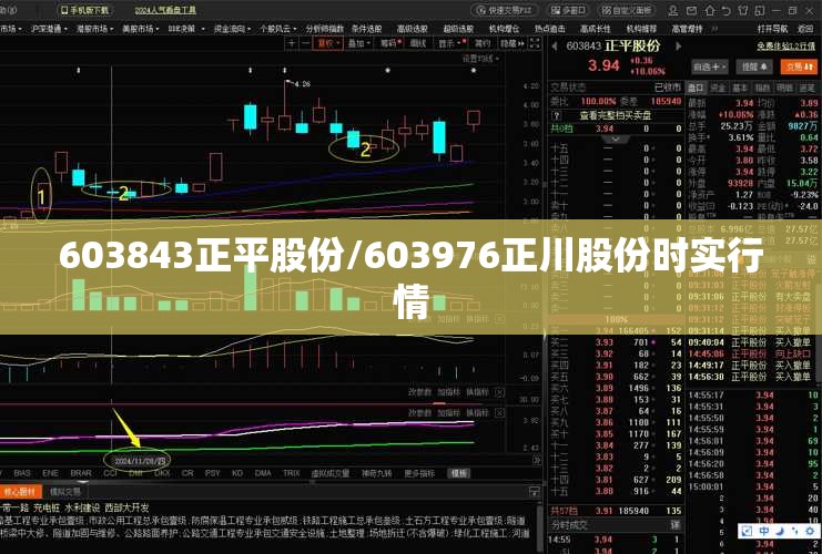 603843正平股份/603976正川股份时实行情 603843正平股份/603976正川股份时实行情