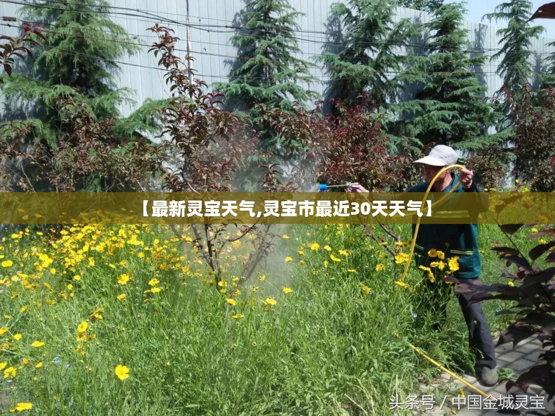 【最新灵宝天气,灵宝市最近30天天气】