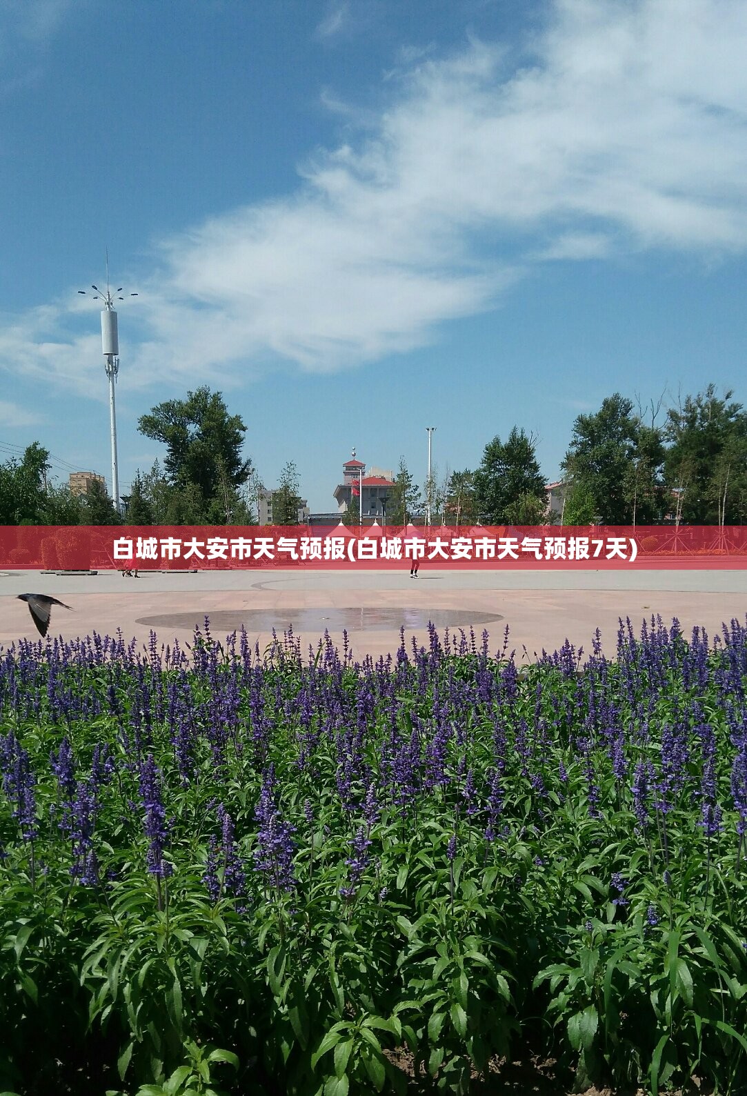 白城市大安市天气预报(白城市大安市天气预报7天) 白城市大安市天气预报(白城市大安市天气预报7天)