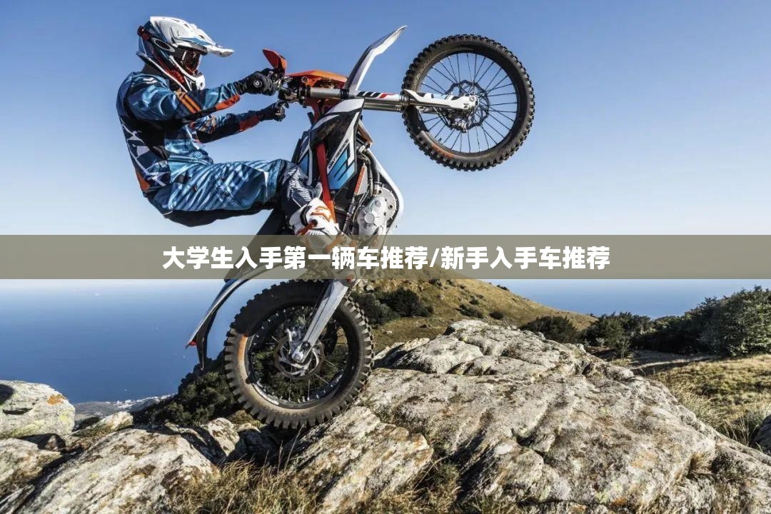 大学生入手第一辆车推荐/新手入手车推荐 大学生入手第一辆车推荐/新手入手车推荐