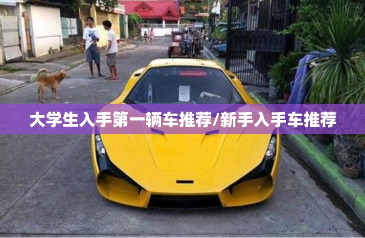 大学生入手第一辆车推荐/新手入手车推荐 大学生入手第一辆车推荐/新手入手车推荐