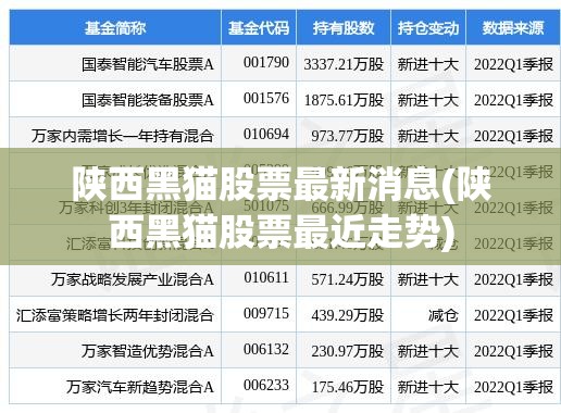 陕西黑猫股票最新消息(陕西黑猫股票最近走势) 陕西黑猫股票最新消息(陕西黑猫股票最近走势)