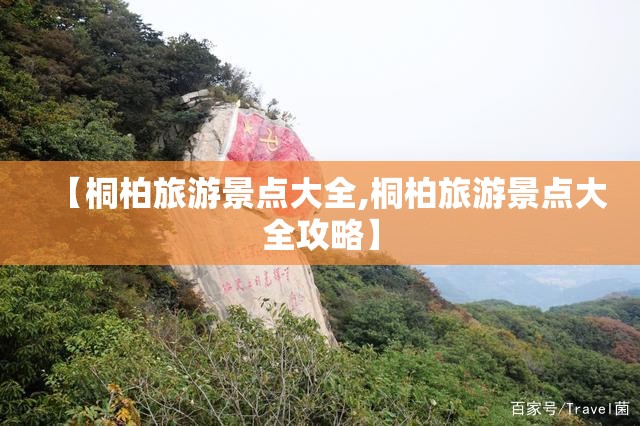 【桐柏旅游景点大全,桐柏旅游景点大全攻略】 【桐柏旅游景点大全,桐柏旅游景点大全攻略】