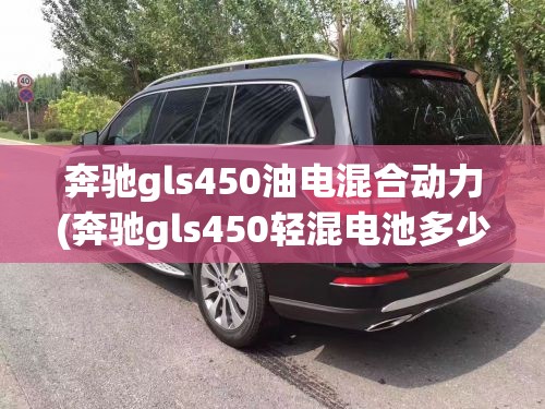 奔驰gls450油电混合动力(奔驰gls450轻混电池多少A) 奔驰gls450油电混合动力(奔驰gls450轻混电池多少A)