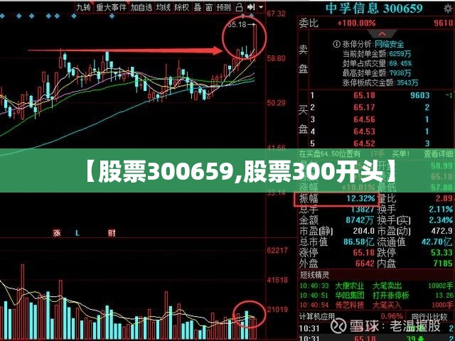 【股票300659,股票300开头】