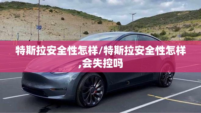 特斯拉安全性怎样/特斯拉安全性怎样,会失控吗