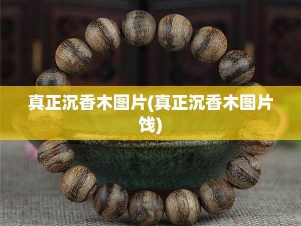 真正沉香木图片(真正沉香木图片饯) 真正沉香木图片(真正沉香木图片饯)
