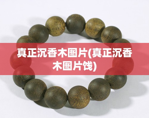 真正沉香木图片(真正沉香木图片饯) 真正沉香木图片(真正沉香木图片饯)