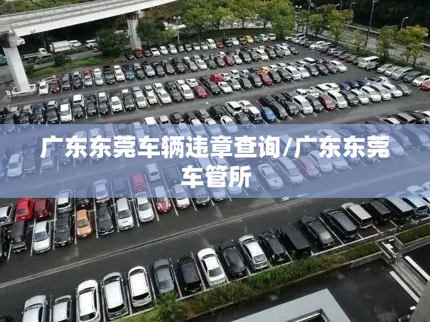 广东东莞车辆违章查询/广东东莞车管所 广东东莞车辆违章查询/广东东莞车管所