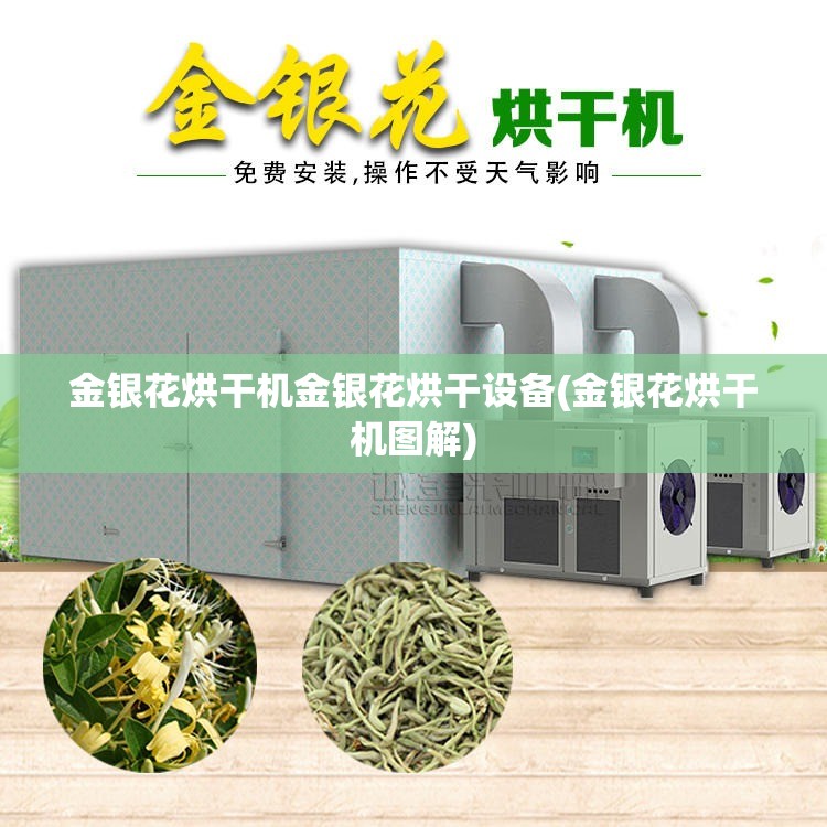 金银花烘干机金银花烘干设备(金银花烘干机图解) 金银花烘干机金银花烘干设备(金银花烘干机图解)
