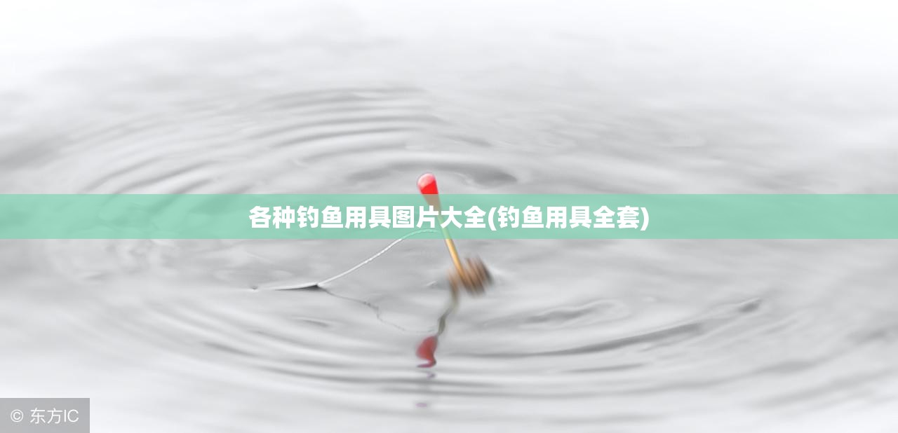 各种钓鱼用具图片大全(钓鱼用具全套)