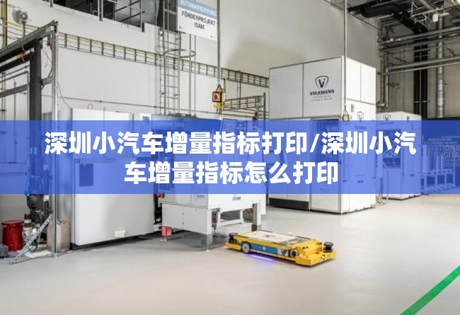 深圳小汽车增量指标打印/深圳小汽车增量指标怎么打印 深圳小汽车增量指标打印/深圳小汽车增量指标怎么打印