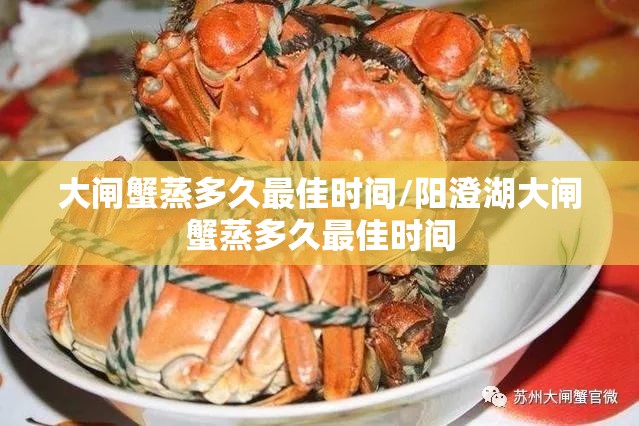 大闸蟹蒸多久最佳时间/阳澄湖大闸蟹蒸多久最佳时间 大闸蟹蒸多久最佳时间/阳澄湖大闸蟹蒸多久最佳时间