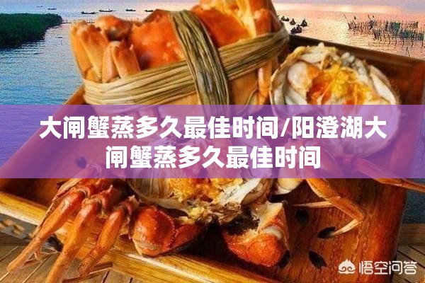 大闸蟹蒸多久最佳时间/阳澄湖大闸蟹蒸多久最佳时间 大闸蟹蒸多久最佳时间/阳澄湖大闸蟹蒸多久最佳时间