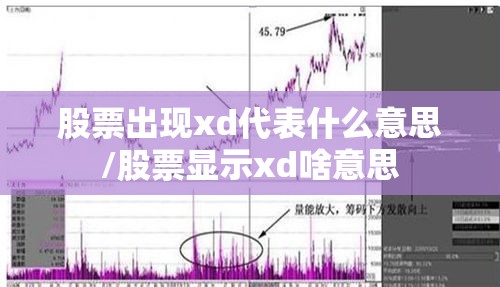 股票出现xd代表什么意思/股票显示xd啥意思 股票出现xd代表什么意思/股票显示xd啥意思