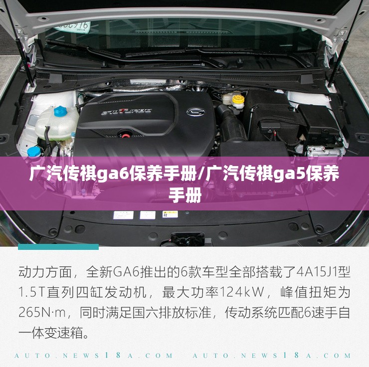 广汽传祺ga6保养手册/广汽传祺ga5保养手册 广汽传祺ga6保养手册/广汽传祺ga5保养手册