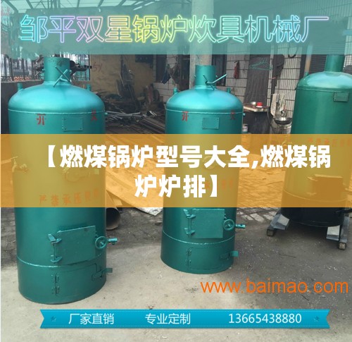 【燃煤锅炉型号大全,燃煤锅炉炉排】 【燃煤锅炉型号大全,燃煤锅炉炉排】