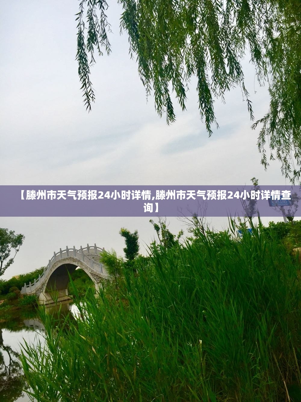 【滕州市天气预报24小时详情,滕州市天气预报24小时详情查询】 【滕州市天气预报24小时详情,滕州市天气预报24小时详情查询】