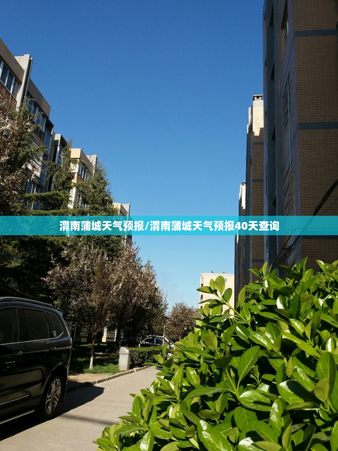 渭南蒲城天气预报/渭南蒲城天气预报40天查询 渭南蒲城天气预报/渭南蒲城天气预报40天查询