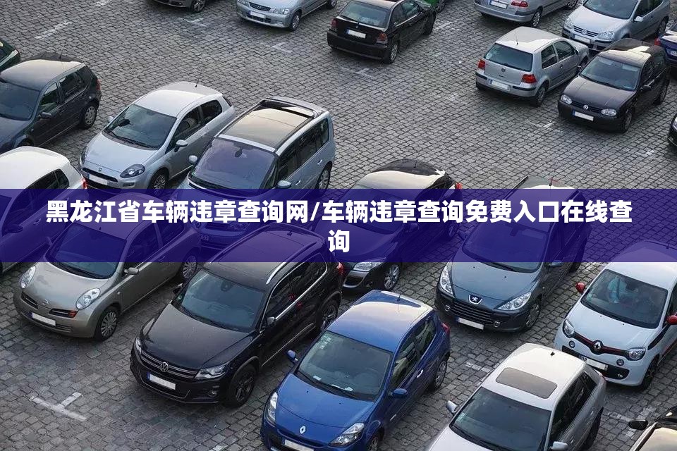 黑龙江省车辆违章查询网/车辆违章查询免费入口在线查询 黑龙江省车辆违章查询网/车辆违章查询免费入口在线查询