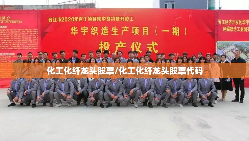 化工化纤龙头股票/化工化纤龙头股票代码