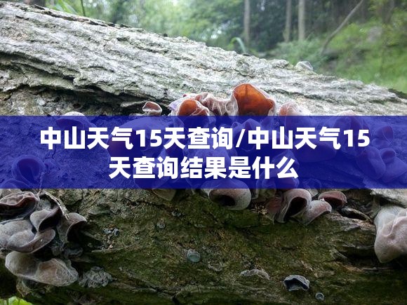 中山天气15天查询/中山天气15天查询结果是什么 中山天气15天查询/中山天气15天查询结果是什么