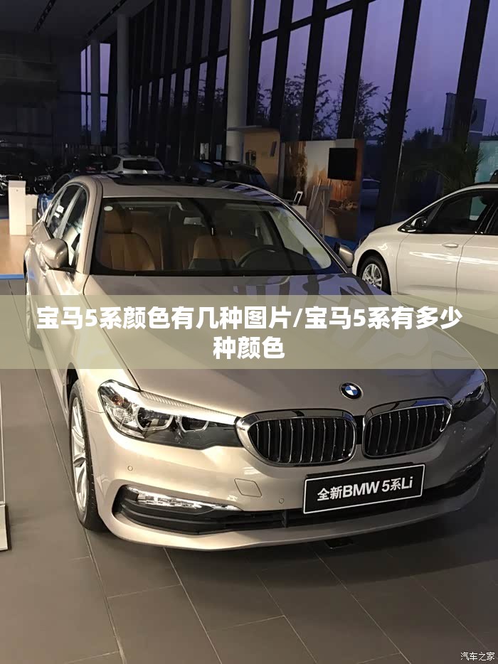 宝马5系颜色有几种图片/宝马5系有多少种颜色 宝马5系颜色有几种图片/宝马5系有多少种颜色