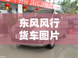 东风风行货车图片及报价/东风风行双排小货车报价及图片 东风风行货车图片及报价/东风风行双排小货车报价及图片
