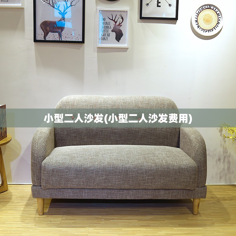 小型二人沙发(小型二人沙发费用) 小型二人沙发(小型二人沙发费用)