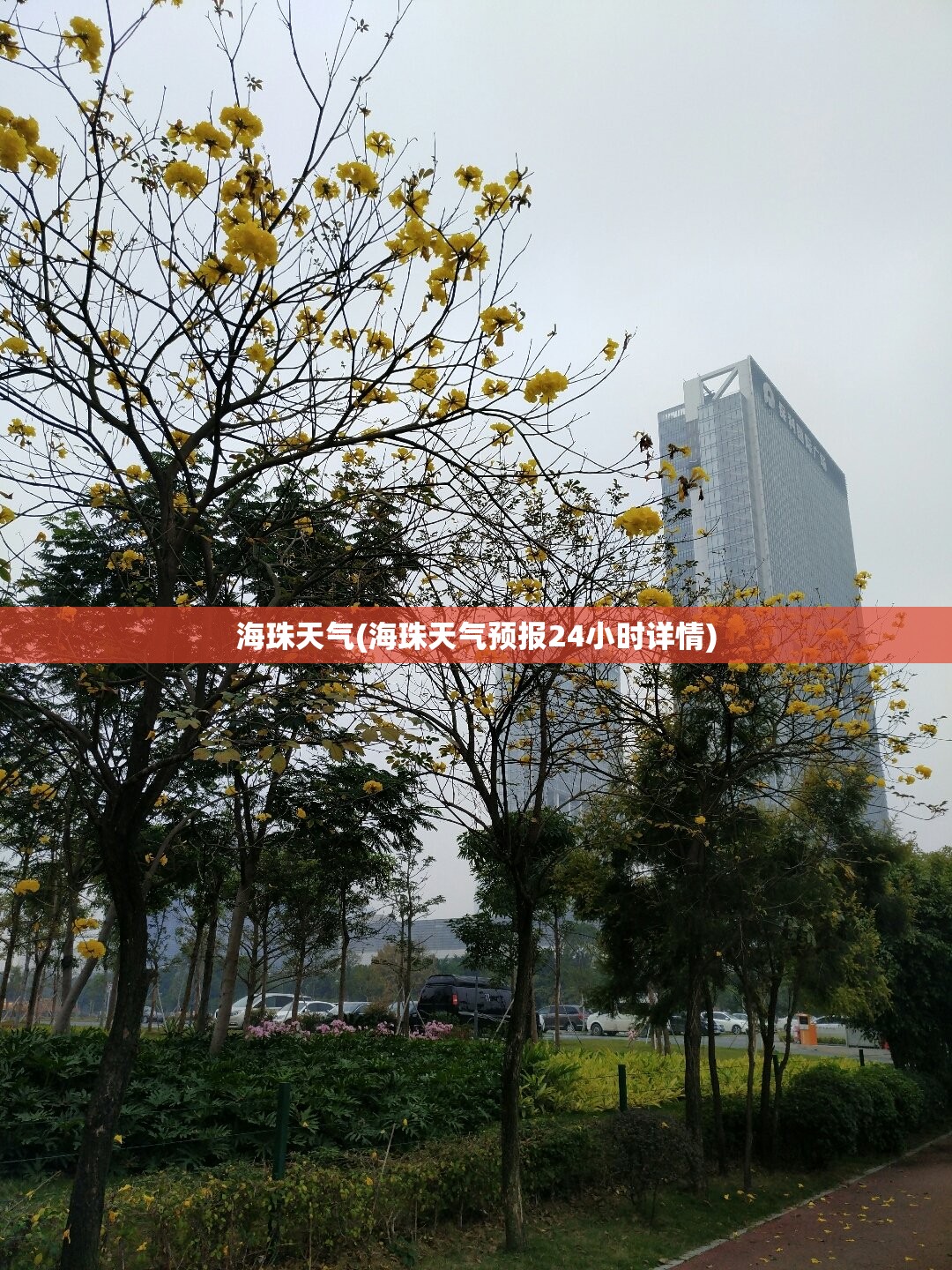 海珠天气(海珠天气预报24小时详情) 海珠天气(海珠天气预报24小时详情)