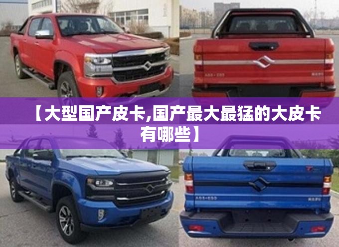 【大型国产皮卡,国产最大最猛的大皮卡有哪些】