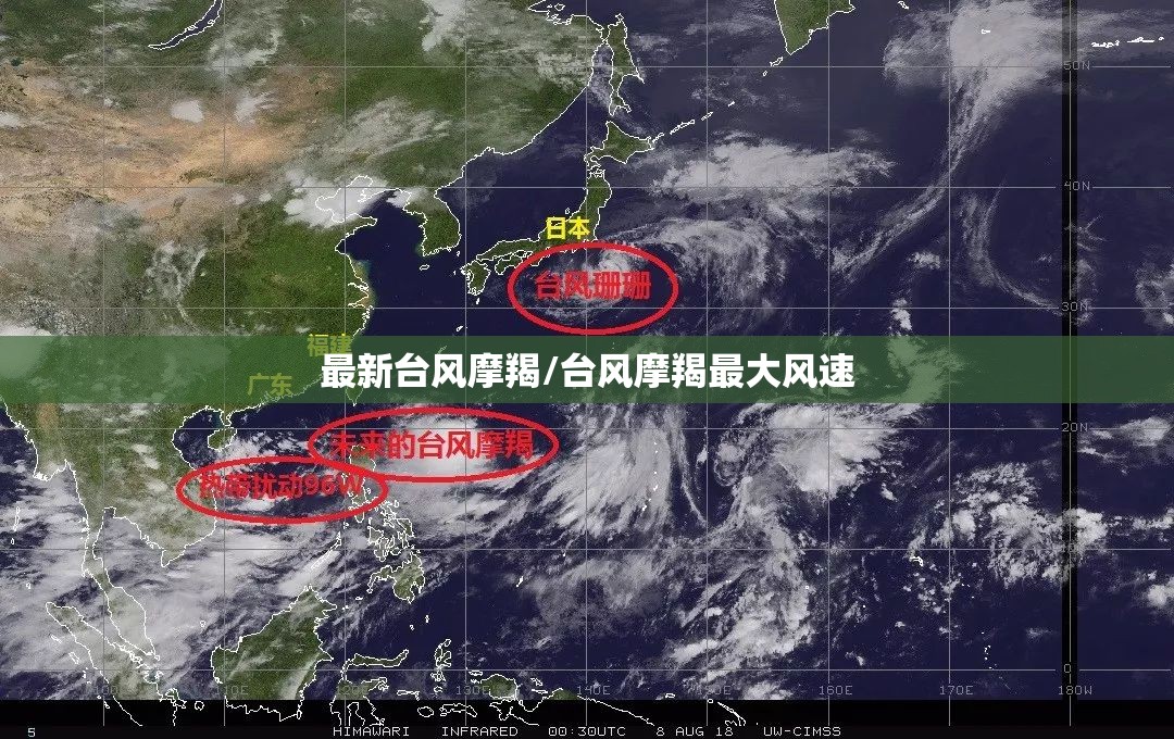 最新台风摩羯/台风摩羯最大风速 最新台风摩羯/台风摩羯最大风速