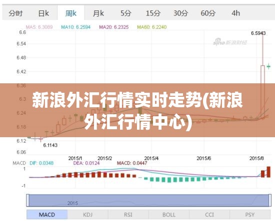 新浪外汇行情实时走势(新浪外汇行情中心) 新浪外汇行情实时走势(新浪外汇行情中心)