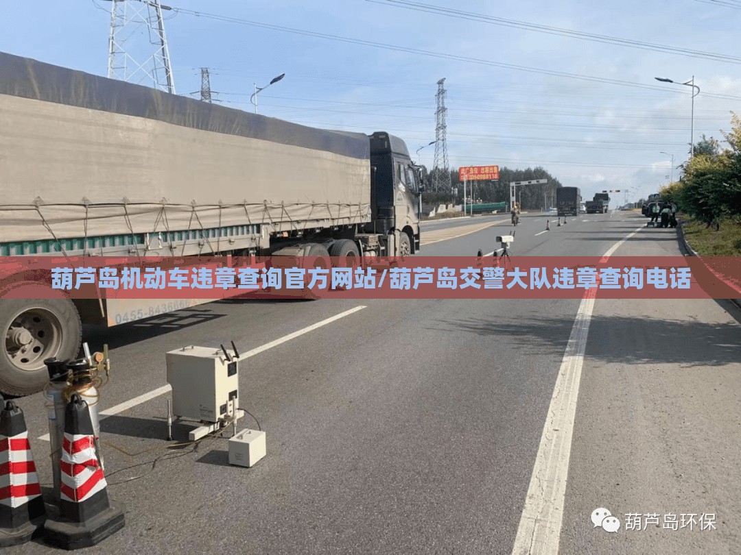 葫芦岛机动车违章查询官方网站/葫芦岛交警大队违章查询电话