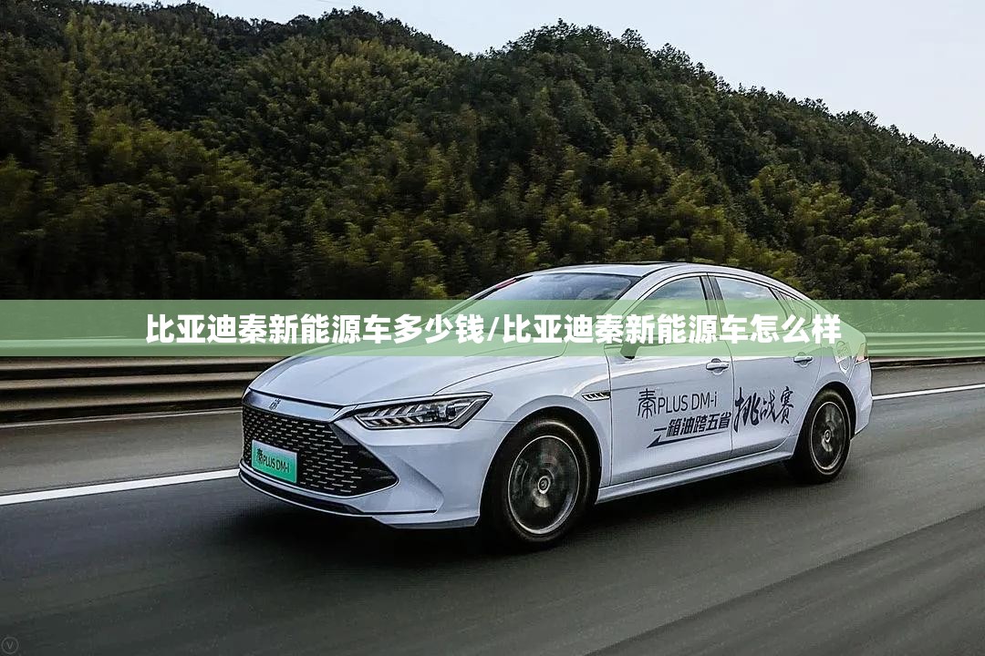 比亚迪秦新能源车多少钱/比亚迪秦新能源车怎么样 比亚迪秦新能源车多少钱/比亚迪秦新能源车怎么样