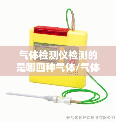 气体检测仪检测的是哪四种气体/气体检测仪可检测的有毒气体和可燃气体 气体检测仪检测的是哪四种气体/气体检测仪可检测的有毒气体和可燃气体